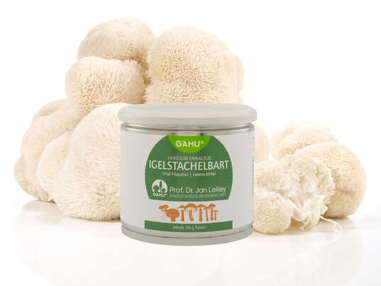 Gamu Igelstachelbart | Hericium erinaceus Pulver, A-Nr.: 5600259 - 02