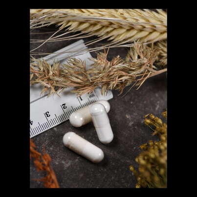 Sie sehen eine Packung Supplementa Homocystein Modifier Kapseln, Produktbild: 04 Supplementa Homocystein Modifier Kapseln, A-Nr.: 5396416 - 04