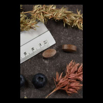 Sie sehen eine Packung Supplementa Gluco Balance Tabletten, Produktbild: 05 Supplementa Gluco Balance Tabletten, A-Nr.: 5597072 - 05