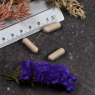 Sie sehen eine Packung Supplementa GlutenEase Kapseln, Produktbild: 04 Supplementa GlutenEase Kapseln, A-Nr.: 5395641 - 04