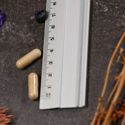 Sie sehen eine Packung Supplementa Hafer (Avena sativa) Kapseln, Produktbild: 04 Supplementa Hafer (Avena sativa) Kapseln, A-Nr.: 5573887 - 04