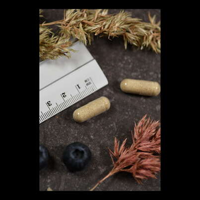 Sie sehen eine Packung Supplementa Hair Force Kapseln KAL, Produktbild: 05 Supplementa Hair Force Kapseln KAL, A-Nr.: 5597729 - 05