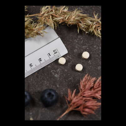 Sie sehen eine Packung Supplementa Folsäure 800mcg +B12 Tabletten, Produktbild: 04 Supplementa Folsäure 800mcg +B12 Tabletten, A-Nr.: 5395397 - 04