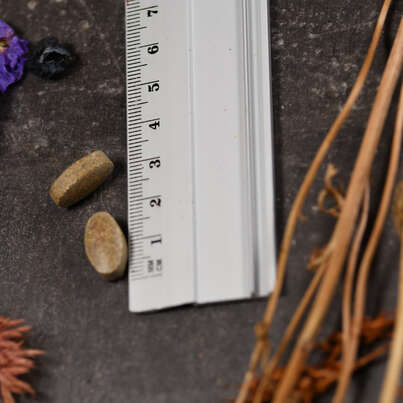 Sie sehen eine Packung Supplementa EYE FORMULA Plus Tabletten, Produktbild: 04 Supplementa EYE FORMULA Plus Tabletten, A-Nr.: 5396014 - 04