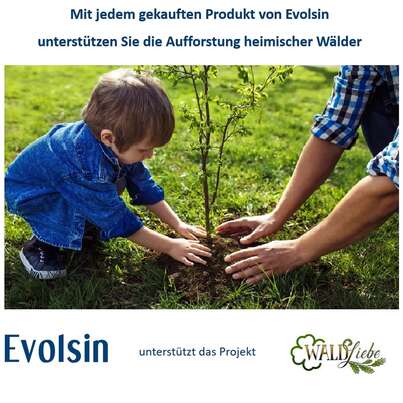 Evolsin Augen-Kur Premium Konzentrat, A-Nr.: 5396988 - 02