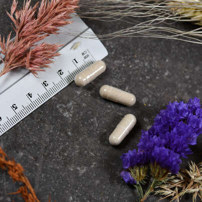 Sie sehen eine Packung Supplementa Enzyme Defense, Produktbild: 04 Supplementa Enzyme Defense, A-Nr.: 5396273 - 04