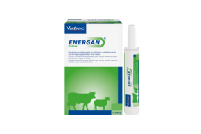 Energan Ketose für Milchkühe und Mutterschafe, A-Nr.: 3003370 - 01