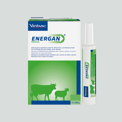 Sie sehen eine Packung Energan Ketose für Milchkühe und Mutterschafe, Produktbild: 02 Energan Ketose für Milchkühe und Mutterschafe, A-Nr.: 3003370 - 02