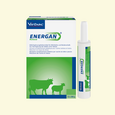 Sie sehen eine Packung Energan Ketose für Milchkühe und Mutterschafe, Produktbild: 03 Energan Ketose für Milchkühe und Mutterschafe, A-Nr.: 3003370 - 03