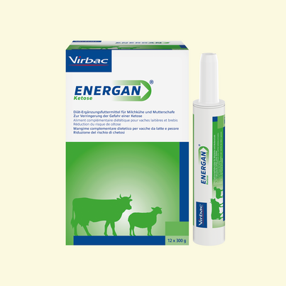 Sie sehen eine Packung Energan Ketose für Milchkühe und Mutterschafe, Produktbild: 03 Energan Ketose für Milchkühe und Mutterschafe, A-Nr.: 3003370 - 03