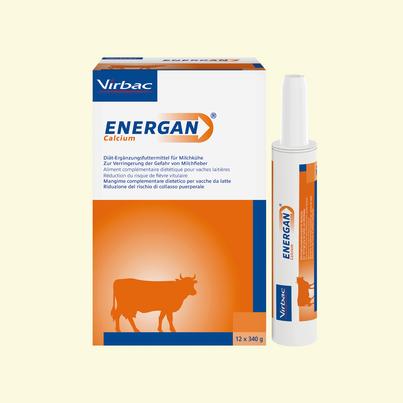 Sie sehen eine Packung Energan Calcium für Milchkühe, Produktbild: 03 Energan Calcium für Milchkühe, A-Nr.: 3003364 - 03