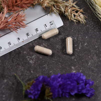 Sie sehen eine Packung Supplementa Digest™ Kapseln, Produktbild: 04 Supplementa Digest™ Kapseln, A-Nr.: 5395552 - 04