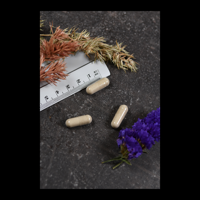 Sie sehen eine Packung Supplementa Digest™ mit ATPro™ Kapseln, Produktbild: 04 Supplementa Digest™ mit ATPro™ Kapseln, A-Nr.: 5395569 - 04