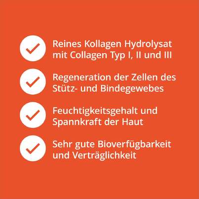 Collagen Pulver Kollagen Hydrolysat, A-Nr.: 5081687 - 03