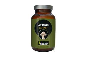 Hanoju Coprinus Pilz Extrakt Tabletten 400mg, A-Nr.: 4256185 - 01
