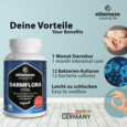 Sie sehen eine Packung Vitamaze Darmflora Vital vegan, Produktbild: 02 Vitamaze Darmflora Vital vegan, A-Nr.: 5179570 - 02