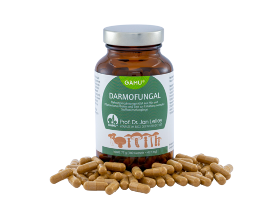 Gamu DarmoFungal Kapseln, A-Nr.: 5600294 - 02