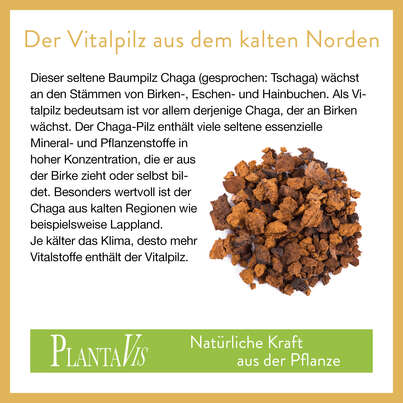 Bio Chaga Pulver 70g, A-Nr.: 4593327 - 03