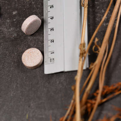 Sie sehen eine Packung Supplementa Children‘s Multi-Vitamin Kautabletten, Produktbild: 04 Supplementa Children‘s Multi-Vitamin Kautabletten, A-Nr.: 5573574 - 04