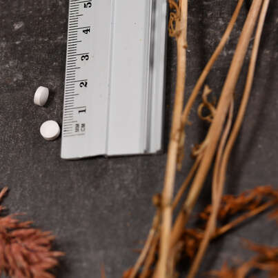 Sie sehen eine Packung Supplementa Chrom Picolinat 200 mcg KAL Tabletten, Produktbild: 05 Supplementa Chrom Picolinat 200 mcg KAL Tabletten, A-Nr.: 5598806 - 05