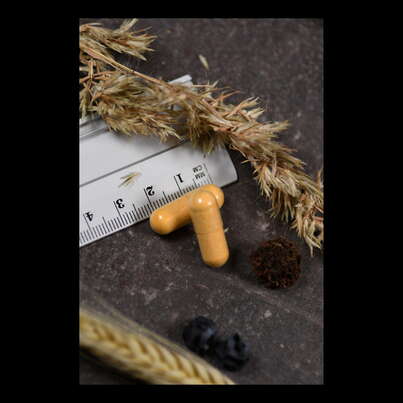 Sie sehen eine Packung Supplementa Coenzym B-Komplex Kapseln, Produktbild: 05 Supplementa Coenzym B-Komplex Kapseln, A-Nr.: 5396362 - 05