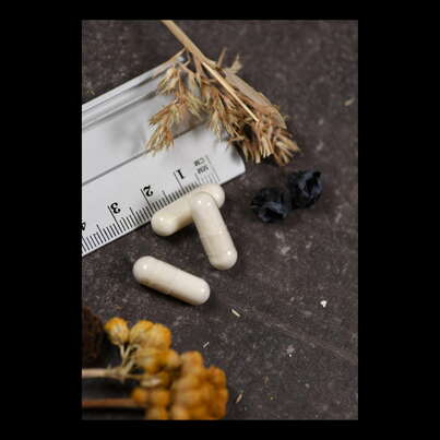 Sie sehen eine Packung Supplementa Caprylsäure Kapseln, Produktbild: 05 Supplementa Caprylsäure Kapseln, A-Nr.: 5597959 - 05