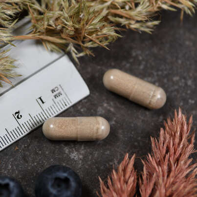 Sie sehen eine Packung Supplementa C-500 Plus gepuffert Kapseln, Produktbild: 05 Supplementa C-500 Plus gepuffert Kapseln, A-Nr.: 5596807 - 05