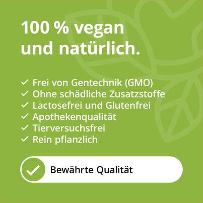 Bromelain Kapseln 500 mg hochdosiert magensaftresistent, A-Nr.: 5629406 - 04