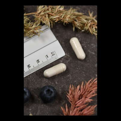 Sie sehen eine Packung Supplementa BONE DEFENSE Kapseln, Produktbild: 04 Supplementa BONE DEFENSE Kapseln, A-Nr.: 5395954 - 04