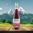 Biotta PREISELBEERE PLUS Bio, A-Nr.: 5356167 - 03