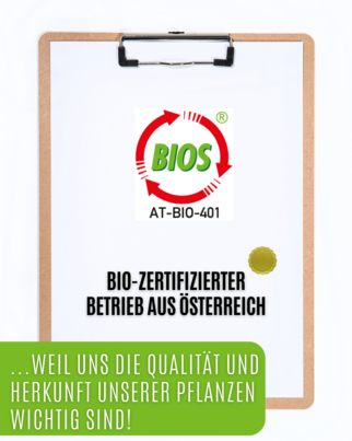Auwald® - Koriander - BIO Tropfen (Auszug, Extrakt, Essenz), A-Nr.: 5680063 - 02