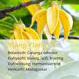 Sie sehen eine Packung Ylang-Ylang Öl, Produktbild: 02 Ylang-Ylang Öl, A-Nr.: 5296413 - 02