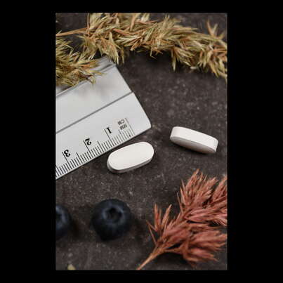 Sie sehen eine Packung Supplementa Acetyl-l-Carnitin KAL Tabletten, Produktbild: 05 Supplementa Acetyl-l-Carnitin KAL Tabletten, A-Nr.: 5598433 - 05