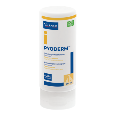 Sie sehen eine Packung Allerderm Pyoderm - Dermatologisches Shampoo für Hunde und Katzen, Produktbild: 01 Allerderm Pyoderm - Dermatologisches Shampoo für Hunde und Katzen, A-Nr.: 5849869 - 01