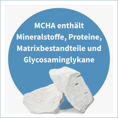 Sie sehen eine Packung NatuGena Calcium Kapseln, Produktbild: 03 NatuGena Calcium Kapseln, A-Nr.: 5404191 - 03