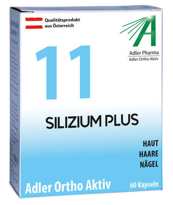 Sie sehen eine Packung Adler Ortho Aktiv Nr. 11, Produktbild: 01 Adler Ortho Aktiv Nr. 11, A-Nr.: 3421185 - 01