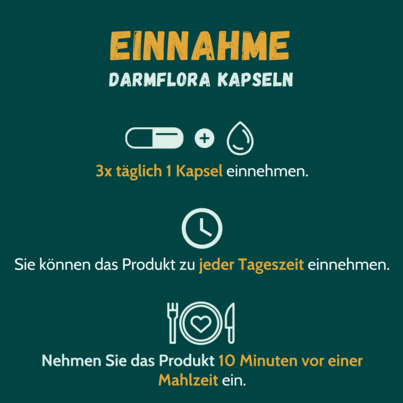 Sie sehen eine Packung Darmflora 60 Kapseln, Produktbild: 02 Darmflora 60 Kapseln, A-Nr.: 3268944 - 02