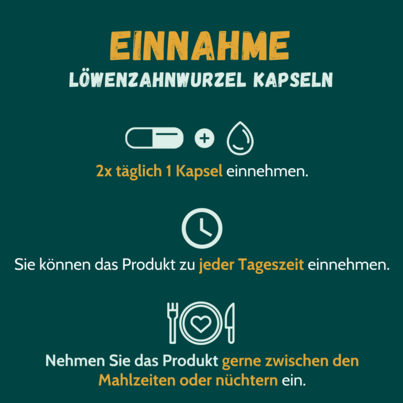 Sie sehen eine Packung Löwenzahnwurzel-Extrakt 500 mg 180 Kapseln, Produktbild: 02 Löwenzahnwurzel-Extrakt 500 mg 180 Kapseln, A-Nr.: 5053366 - 02