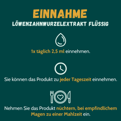 Sie sehen eine Packung Löwenzahnwurzel-Extrakt 100% 100 ml, Produktbild: 02 Löwenzahnwurzel-Extrakt 100% 100 ml, A-Nr.: 5053372 - 02