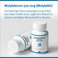 Sie sehen eine Packung Molybdenum 500 mcg (Molybdän) Klean Labs Kapseln, Produktbild: 06 Molybdenum 500 mcg (Molybdän) Klean Labs Kapseln, A-Nr.: 5622054 - 06