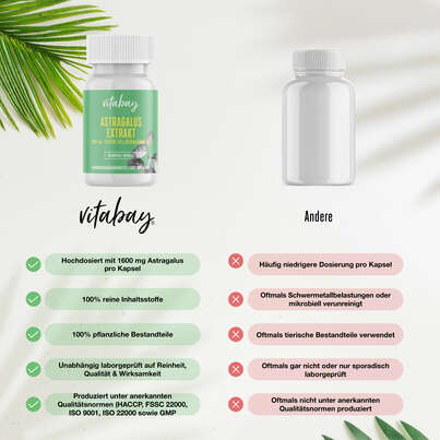 Vitabay Astragalus Extrakt 1600 mg Kapseln, A-Nr.: 5878380 - 02