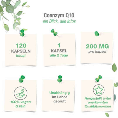 Vitabay Coenzym Q10 Ubichinon Komplex 200 mg Kapseln, A-Nr.: 5877742 - 04