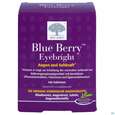Blue Berry Tabl New Nordic 120st, A-Nr.: 3094987 - 01