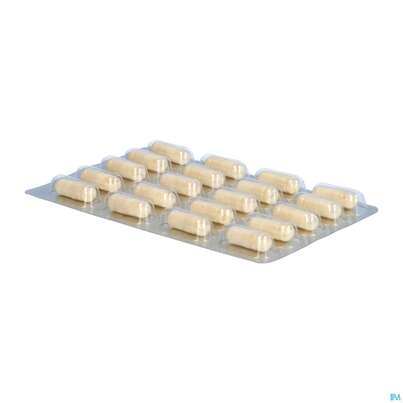 Sie sehen eine Packung Darmflora Plus Dr.wolz Select Kapseln Nr 60570 80st, Produktbild: 08 Darmflora Plus Dr.wolz Select Kapseln Nr 60570 80st, A-Nr.: 3839306 - 08