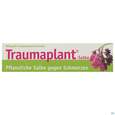 Sie sehen eine Packung Hws Traumaplant Salbe 100ml, Produktbild: 01 Hws Traumaplant Salbe 100ml, A-Nr.: 2726184 - 01