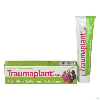 Sie sehen eine Packung Hws Traumaplant Salbe 100ml, Produktbild: 02 Hws Traumaplant Salbe 100ml, A-Nr.: 2726184 - 02