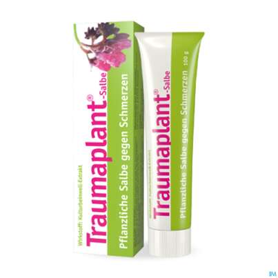 Sie sehen eine Packung Hws Traumaplant Salbe 100ml, Produktbild: 03 Hws Traumaplant Salbe 100ml, A-Nr.: 2726184 - 03