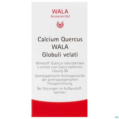 Sie sehen eine Packung Calcium Quercus Wala Globuli Velati 20g, Produktbild: 01 Calcium Quercus Wala Globuli Velati 20g, A-Nr.: 4482912 - 01