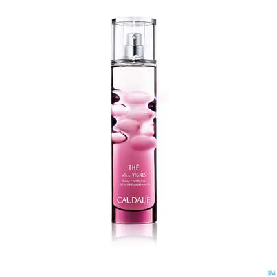 Sie sehen eine Packung Caudalie Eau Fraiche The Des Vignes 100ml, Produktbild: 03 Caudalie Eau Fraiche The Des Vignes 100ml, A-Nr.: 4249305 - 03