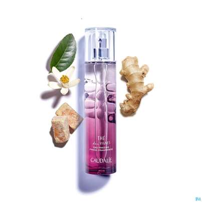 Sie sehen eine Packung Caudalie Eau Fraiche The Des Vignes 50ml, Produktbild: 07 Caudalie Eau Fraiche The Des Vignes 50ml, A-Nr.: 3832994 - 07
